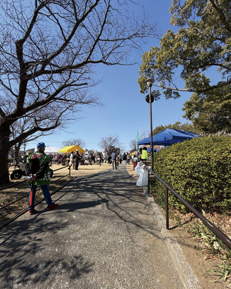 洋光台梅の里まつり