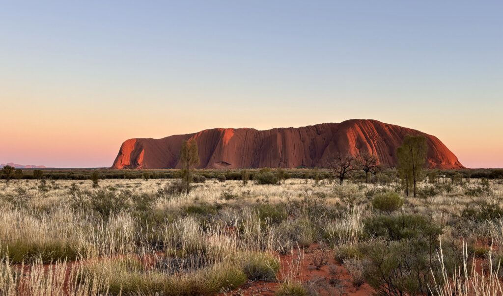 微笑ましい勘違い