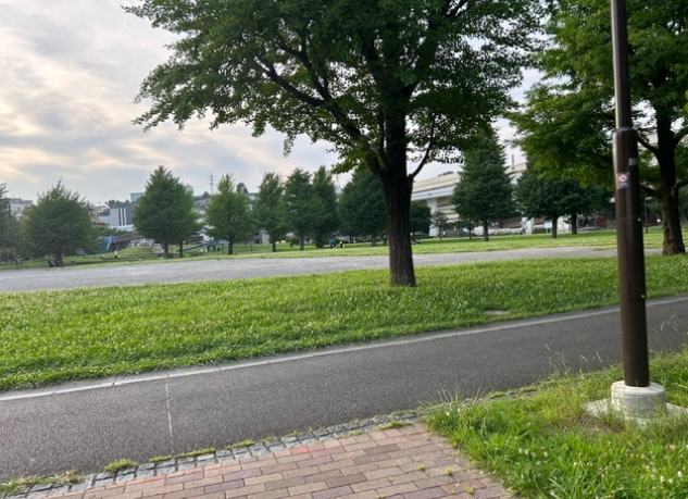 朝のウォーキングをしました。